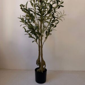 עץ זית גדול 1.60