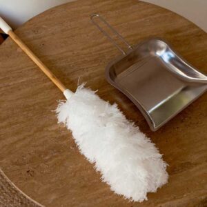 מברשת אבק בסטייל