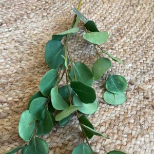 ענף עלי אקליפטוס 95 סמ