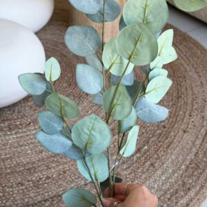 ענף אקליפטוס ירקרק 90 סמ