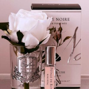 ROSE BLANSH מיני